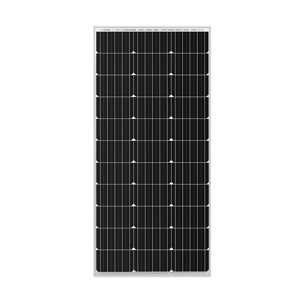 Renogy 100W Mono Solar Panel